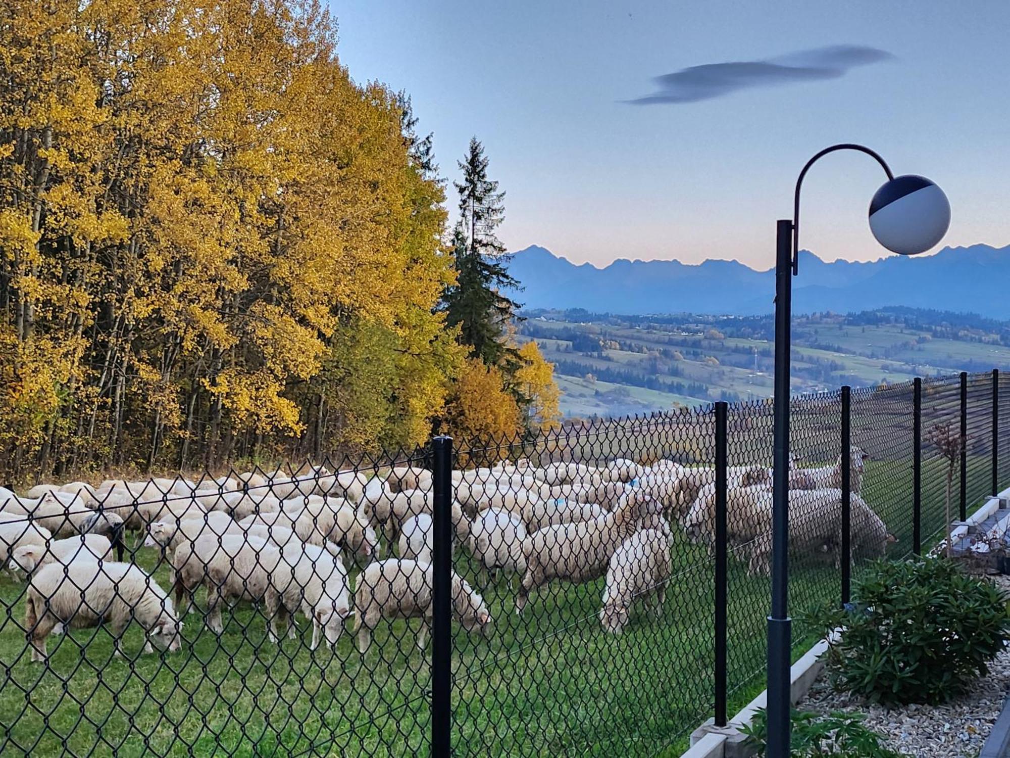Dworek Nad Jalowcami Biały Dunajec Exterior foto